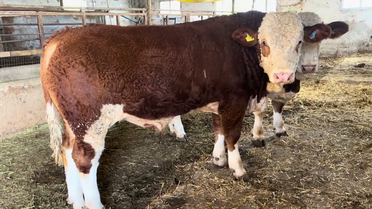 Kalite arayan ile illaki yolumuz kesişir