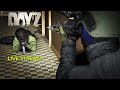 Vanilla DayZ