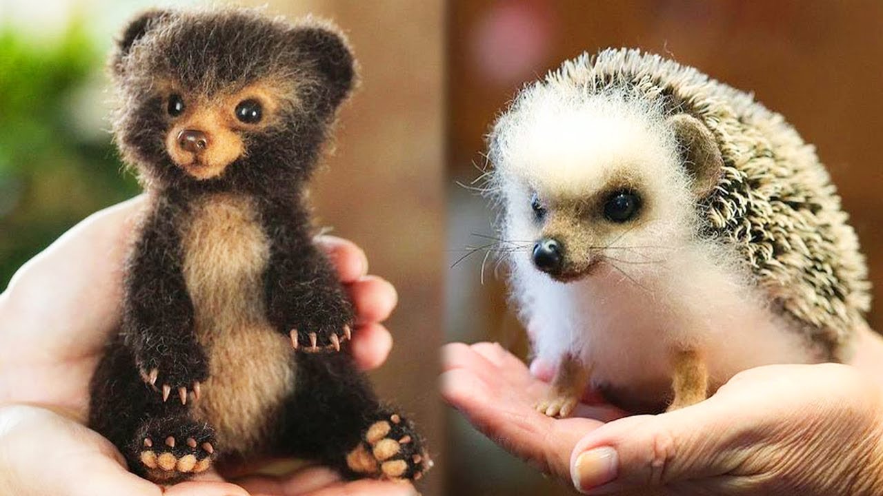 Animals SOO Cute! Cute baby animals Videos Compilation cutest moment of