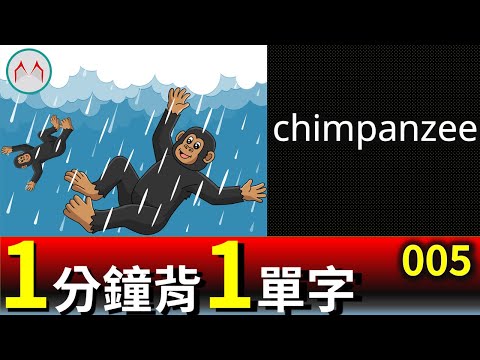 背單字 ｜ chimpanzee ｜不讓你累 只幫你背｜保證記住｜ 20220620