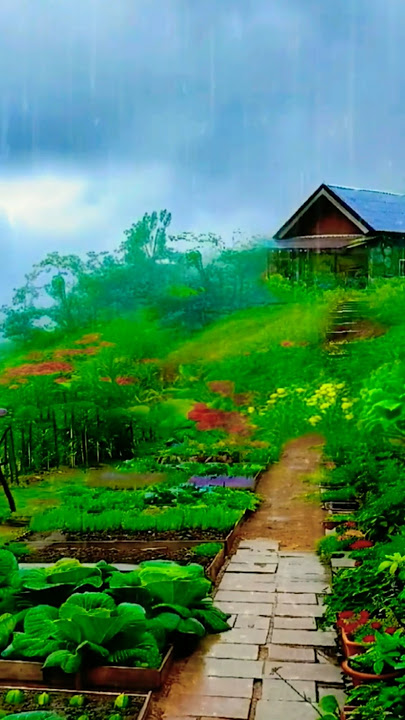 Rain and Thunder and the small house on the hill #short#rainthunder#sleeping#feedshort