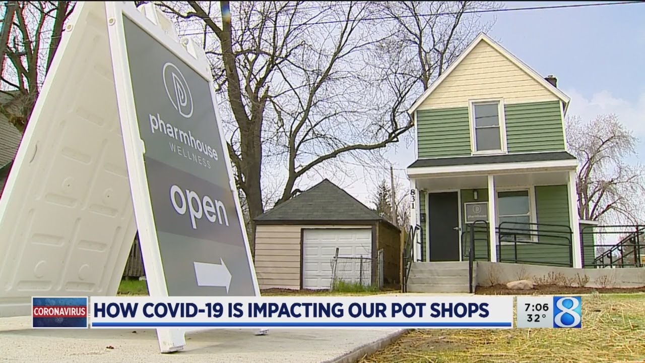 Marijuana industry continues to bloom during pandemic