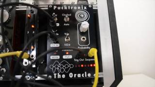 Pucktronix - The Oracle Eurorack Module - Auto Rhythm Mode Demo