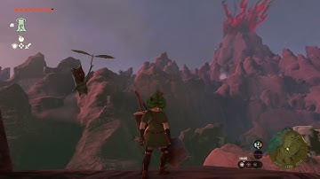 [DAY 391] of finding one korok seed in TotK everyday until a new Zelda game comes out