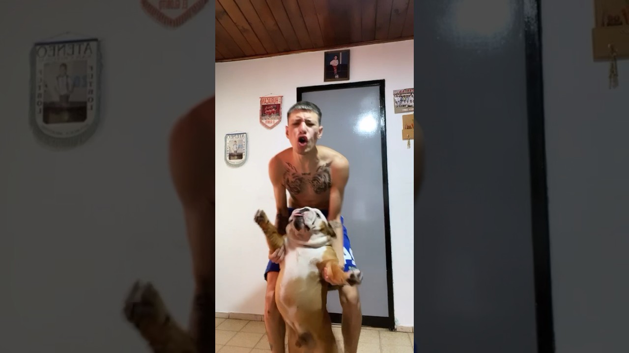 EL GORDO FALCIONI EL GORDO FALCIONI 🎶❤️🤣 