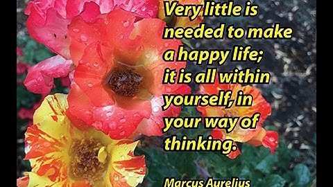 Sometimes Text Needs Help Standing Out on A Busy Background | Video Tutorial | Graphic Design