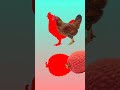 If possible, show the litchi and chicken in combination with the shadow. #reels #shorts