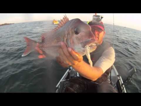 East Feast - Ricketts Part 2 - Kayak Snapper Fishing - YouTube