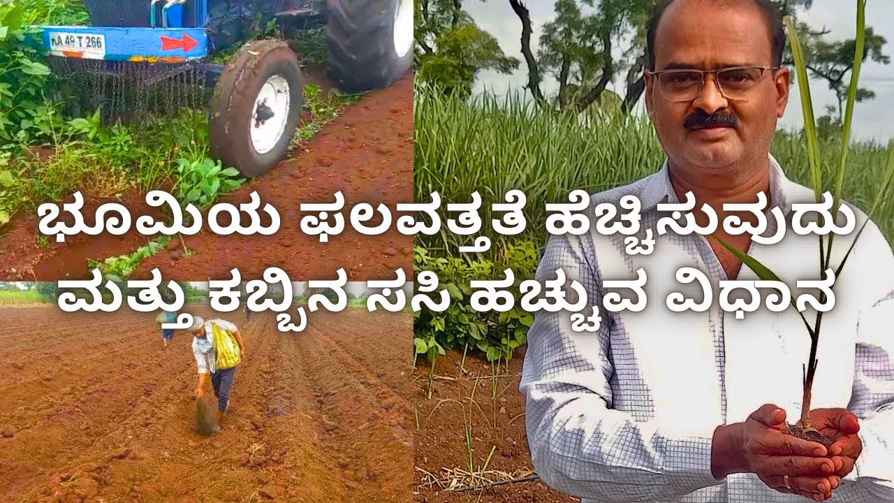 ಭೂಮಿಯ ಫಲವತ್ತತೆ ಹೆಚ್ಚಿಸುವುದು ಮತ್ತು ಕಬ್ಬಿನ ಸಸಿ ಹಚ್ಚುವ ವಿಧಾನ