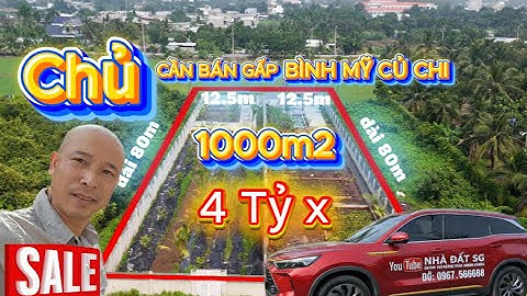 🛑NHÀ VƯỜN BÌNH MỸ 1000m² GẦN SÔNG SÀI GÒN | 4 Tỷ 2 GẦN TP BÌNH DƯƠNG |#Chuyenbietthu