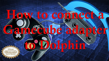 How to connect a Gamecube Adapter for Wii u to PC (How to get Rumble to Work)