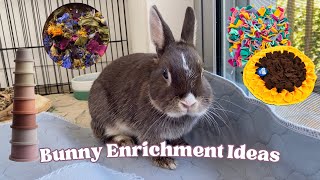 Bunny Enrichment Ideas