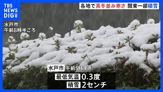 3連休初日　関東の一部では積雪も　真冬並みの寒さに｜TBS NEWS DIG