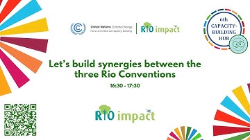 Let’s build synergies between the three Rio Conventions