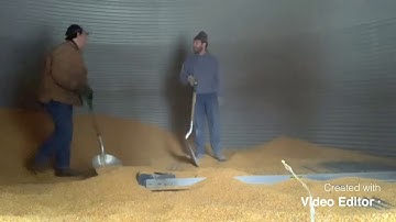 Cleaning out a grain bin! Time lapse