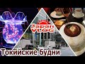 Я, японка и Токио/ волшебная рыба/вкуснячий шоколад/ шопинг —  Влог о Японии от Пан Гайджин