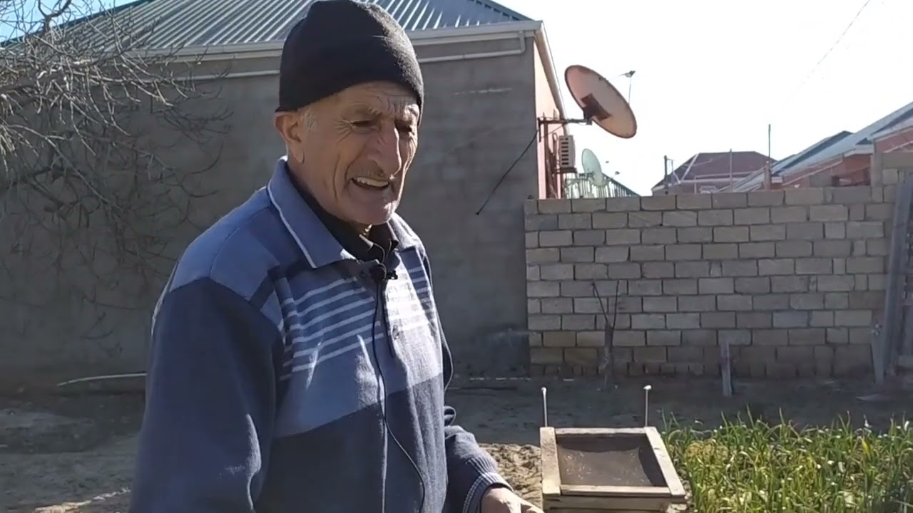 AZOTU ƏVƏZ EDİR-TƏKRAR.