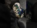 Opale welo brute 14,90 cts #opal #jewellery #opale #gemsnjewellery #stone #gems #crystals #jewelry