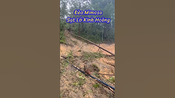 Lý do nào khiến đèo Prenn – Mimosa trở thành điểm sạt lở nguy hiểm nhất năm 2025.  #lamdong #tintuc