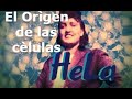 El orìgen de las cèlulas HeLa