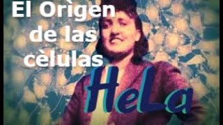 El orìgen de las cèlulas HeLa