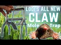 How to Set Talpex style Mole Traps - SUCCESS EVERY TIME!!! Road test of LODI's mole CLAW TRAP!!!