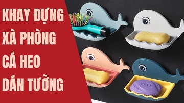 Khay Đựng Xà Phòng Cá Heo Dán Tường - Giver Store