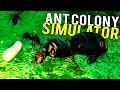 EPIC ANT COLONY SIMULATOR! WAR vs SLAVE-MAKING ANTS - NEW UPDATE Empires of the Undergrowth Gameplay