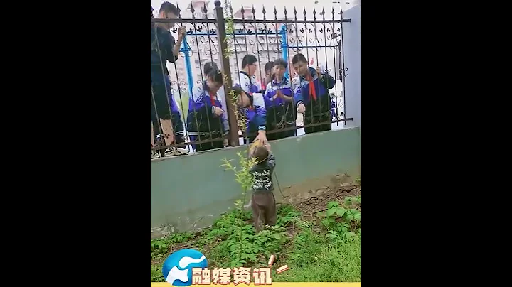 小朋友幫哥哥們檢球，結果⋯⋯ 網友：終究是錯付了！ - 天天要聞