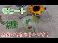 【ミントモヒート】手作りカクテル  清涼感☆夏にぴったり