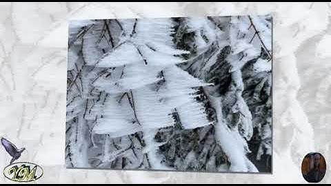 35 Fatir غسان الشوربجي سورة فاطر