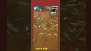 #teri #meri #gala #hogi #Mashoor #New_Trends774