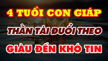 Tử Vi 2026: 4 Con Giáp Thần Tài Đuổi Theo Đến Cùng, Tiền Vào Như Nước, Giàu Đến Khó Tin
