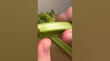 How To Make Horror Sound Effects - What Did You Hear?