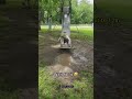Wait for the end! @tutort.academy