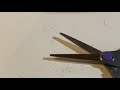 散髪の続き