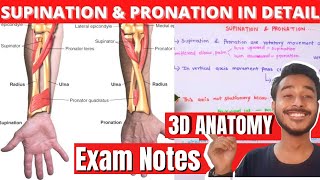 Supination and pronation of hand Anatomy
