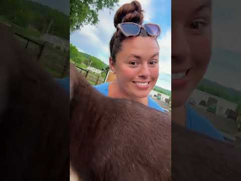 Katie Van Slyke goodnight, Babies😴✨I think they missed me🥹🐐🩷Name Reveal!🐴🥹💜