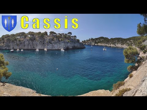 Video: Je cassis stejný jako chambord?