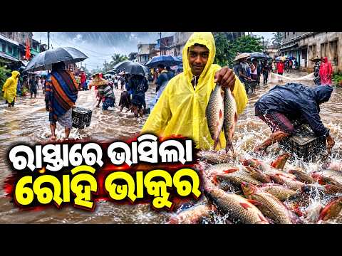 ରାସ୍ତାରେ ଭାସିଲା ମାଛ, ଜାଲ ଧରି ଧାଇଁଲେ ଗାଁ ଲୋକ! | Ganjam News