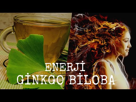 Video: Ginkgo Meyvesi Yenilebilir mi - Ginkgo Biloba Fındıkları Yiyor musunuz?