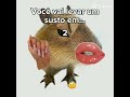 𝕧𝕒𝕚 𝕥𝕠𝕞𝕒𝕣 𝕤𝕦𝕤𝕦𝕥𝕠𝕠