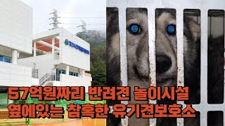 57억짜리 반려견놀이시설 옆에는 참혹한 유기견보호소가 있습니다.