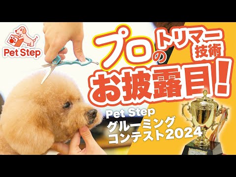 プロの】トリマー技術をお披露目！✂️🐕✨ / PetStepグルーミング