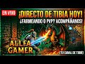Tibia dale PLAY