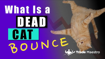 What is a dead cat bounce?