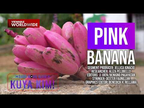 Pink na saging na mala-ice cream daw ang laman, tikman! | Dami Mong Alam, Kuya Kim!
