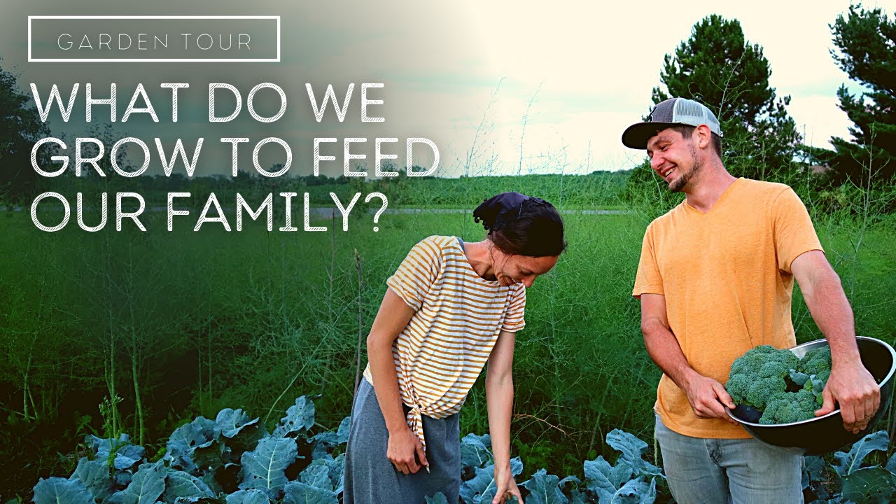 How We Grow Our Own Food (for a family of 6!) | Kitchen Garden Tips for ...