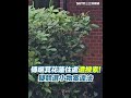 傅崐萁罷免事件