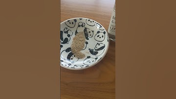 Food Review Trader Joe